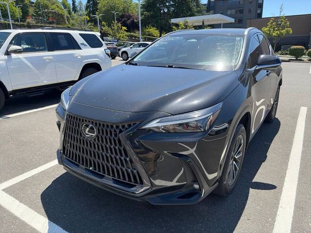 2023 Lexus NX NX 350h Premium AWD photo
