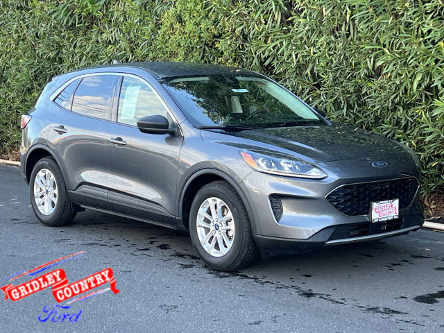 2022 Ford Escape SE FWD photo