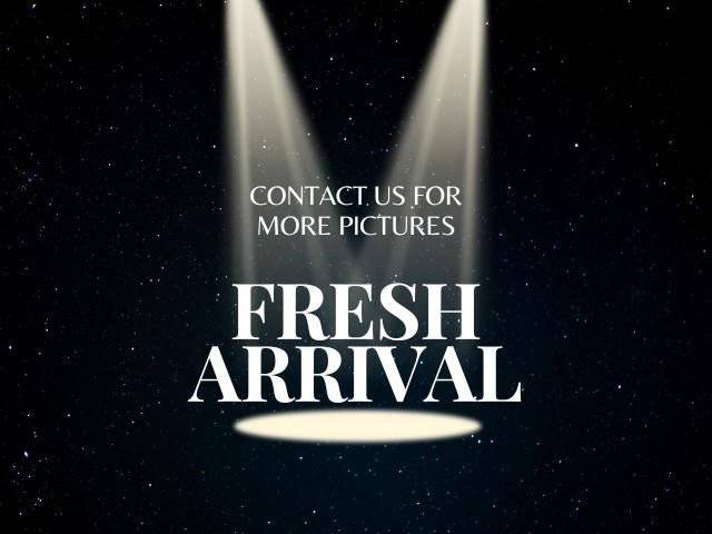 2023 Subaru Outback Limited AWD photo