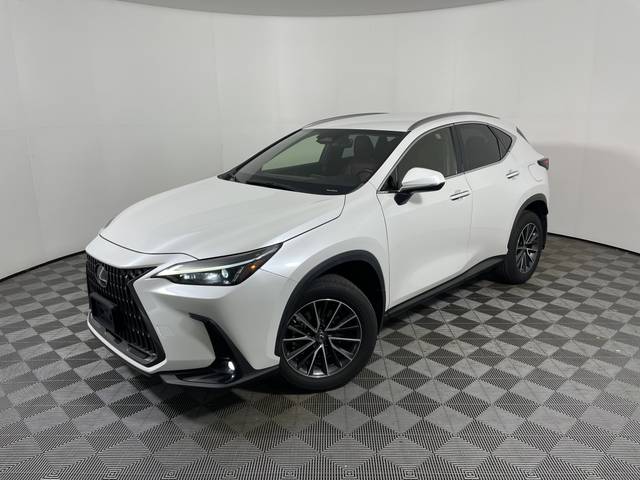 2023 Lexus NX NX 250 AWD photo