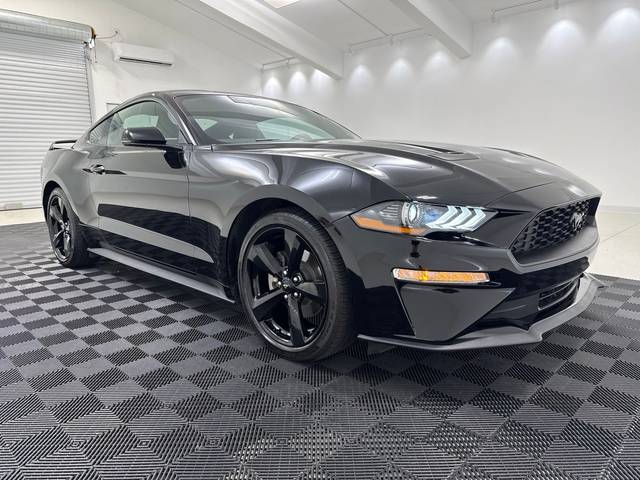 2023 Ford Mustang EcoBoost Premium RWD photo