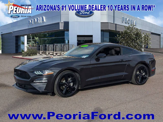 2023 Ford Mustang EcoBoost RWD photo