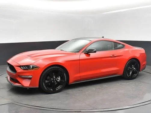 2023 Ford Mustang EcoBoost RWD photo