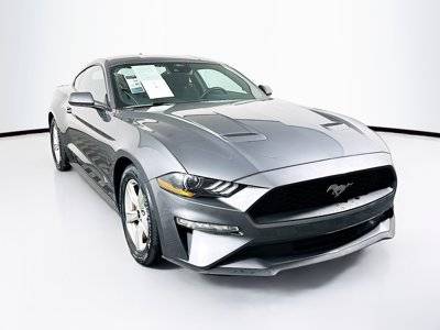 2023 Ford Mustang EcoBoost RWD photo