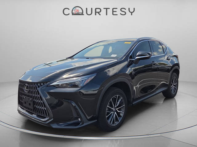 2023 Lexus NX NX 250 FWD photo