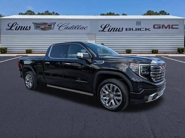 2023 GMC Sierra 1500 Denali 4WD photo