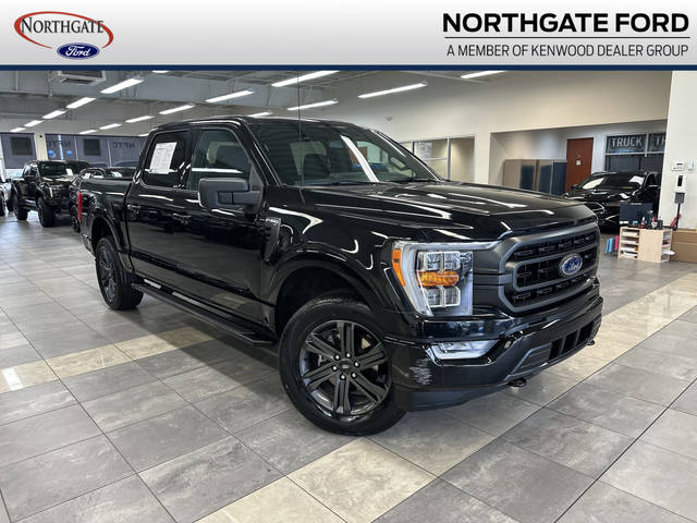 2023 Ford F-150 XLT 4WD photo