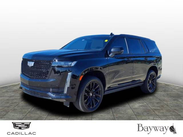 2023 Cadillac Escalade RWD Sport Platinum RWD photo