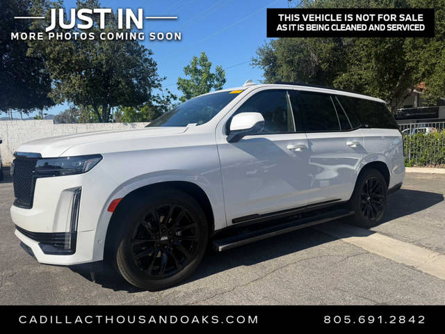 2023 Cadillac Escalade 4WD Sport Platinum 4WD photo