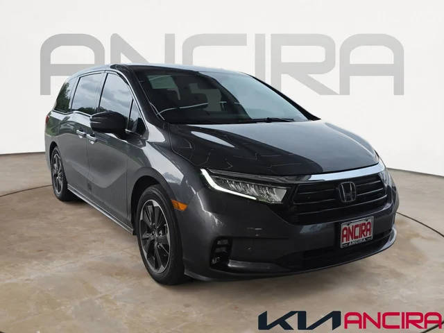 2023 Honda Odyssey Elite FWD photo
