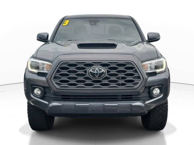 2023 Toyota Tacoma TRD Sport RWD photo