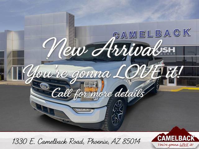 2023 Ford F-150 XLT 4WD photo