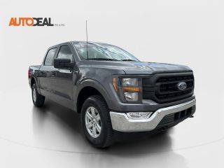 2023 Ford F-150 XL 4WD photo