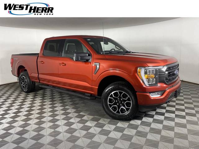 2023 Ford F-150 XLT 4WD photo