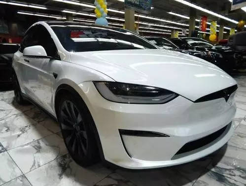 2022 Tesla Model X  AWD photo