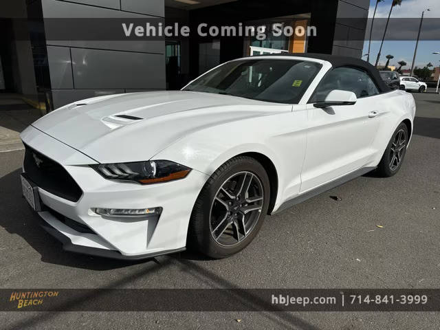 2019 Ford Mustang EcoBoost RWD photo