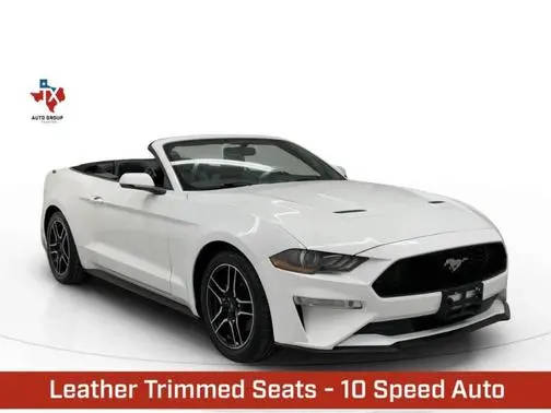 2019 Ford Mustang EcoBoost Premium RWD photo
