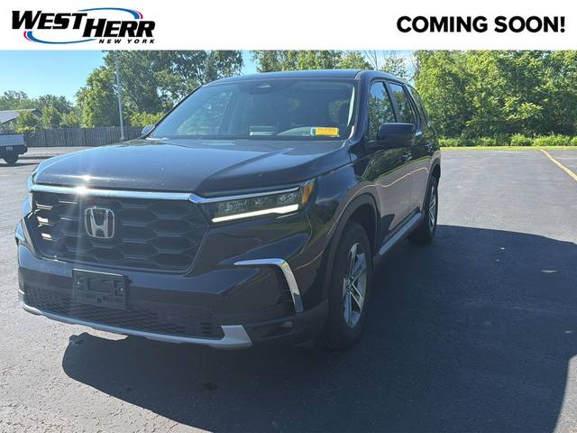 2023 Honda Pilot EX-L 7 Passenger AWD photo