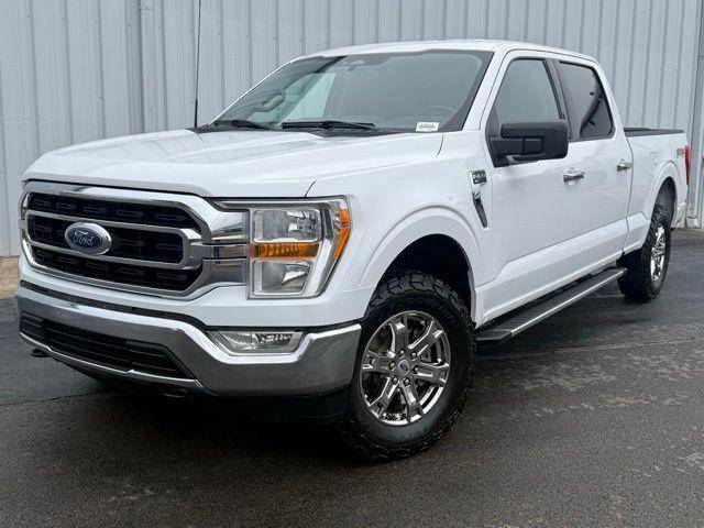 2023 Ford F-150 XLT 4WD photo
