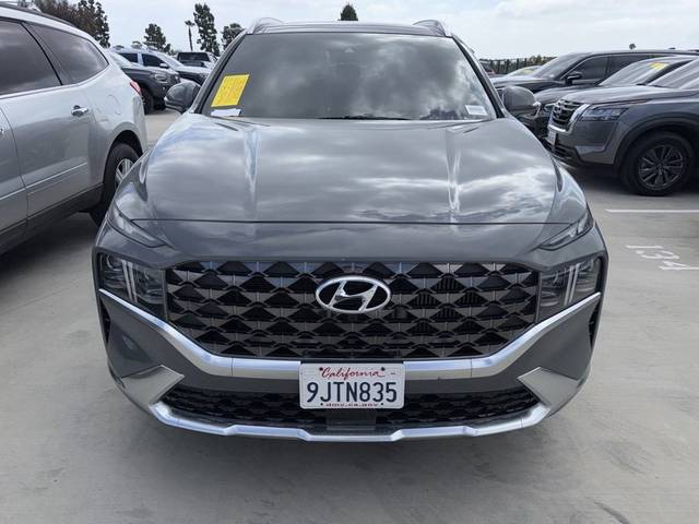 2023 Hyundai Santa Fe Calligraphy AWD photo