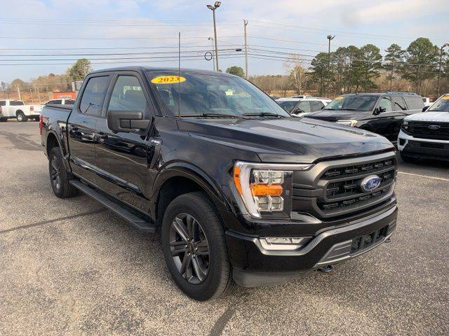 2023 Ford F-150 XLT 4WD photo