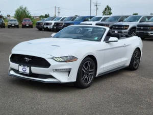 2019 Ford Mustang EcoBoost Premium RWD photo