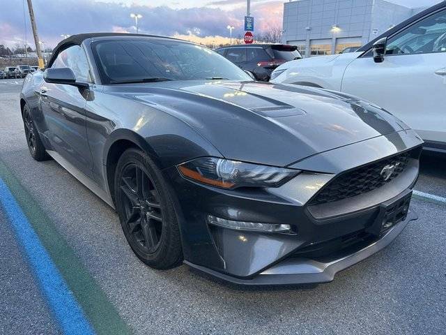 2019 Ford Mustang EcoBoost Premium RWD photo