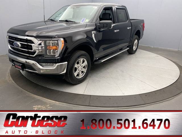 2023 Ford F-150 XLT 4WD photo