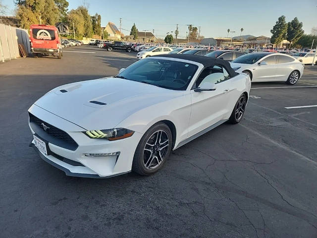 2019 Ford Mustang EcoBoost Premium RWD photo