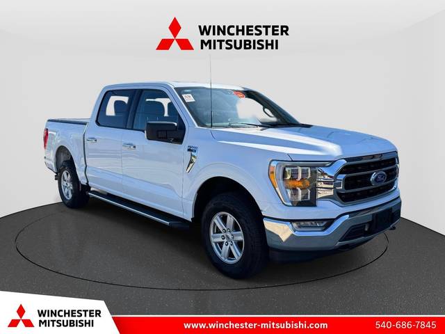 2023 Ford F-150 XLT 4WD photo