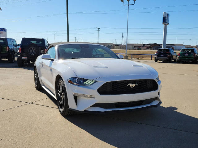2021 Ford Mustang EcoBoost Premium RWD photo