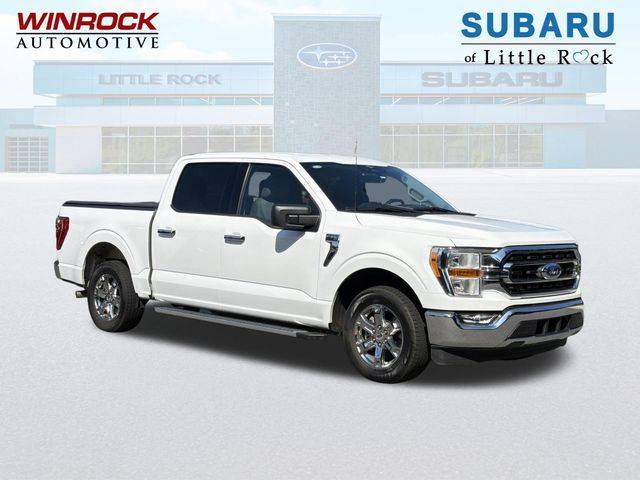 2023 Ford F-150 XLT RWD photo