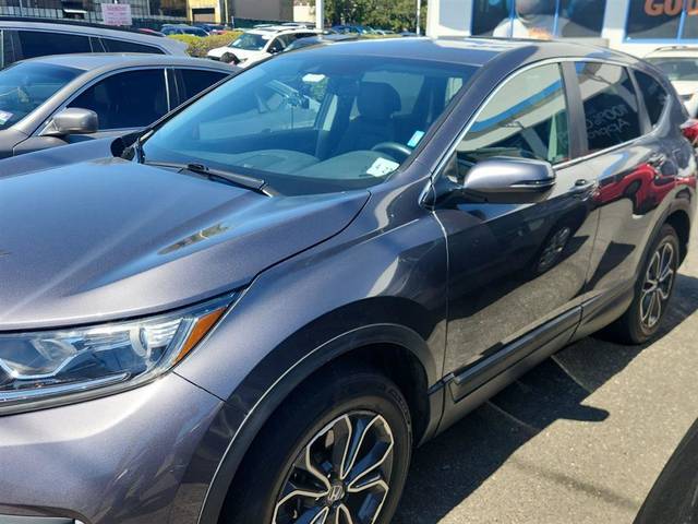 2022 Honda CR-V EX-L AWD photo