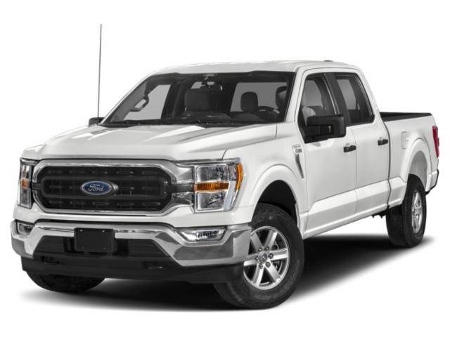 2023 Ford F-150 XLT 4WD photo