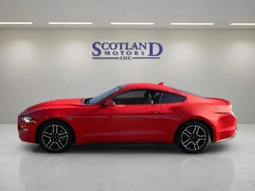 2022 Ford Mustang EcoBoost RWD photo