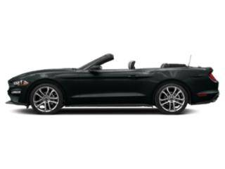 2022 Ford Mustang RWD photo