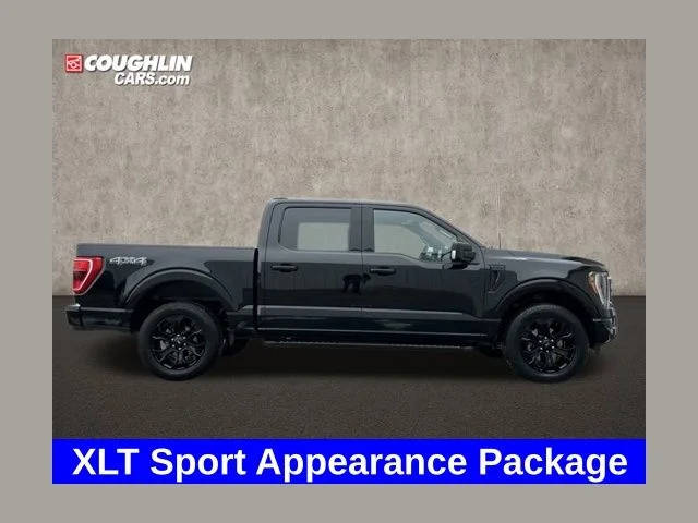 2023 Ford F-150 XLT 4WD photo