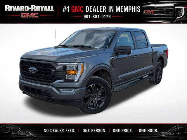 2023 Ford F-150 XLT 4WD photo