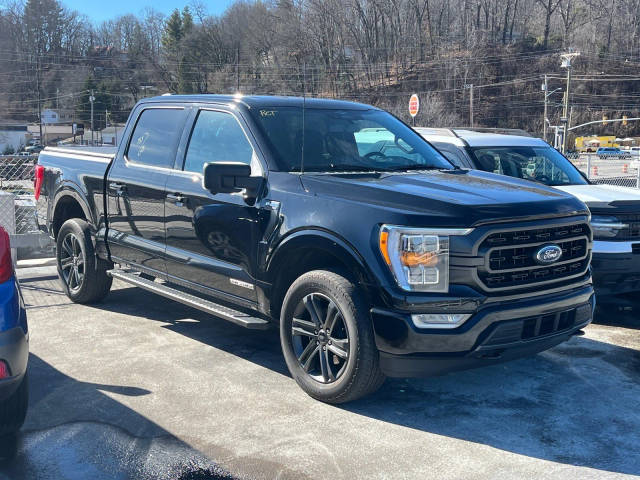2023 Ford F-150 XLT 4WD photo