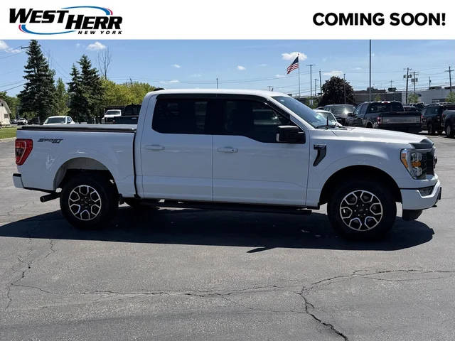 2023 Ford F-150 XLT 4WD photo