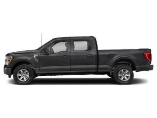 2023 Ford F-150 XLT 4WD photo