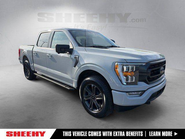 2023 Ford F-150 XLT 4WD photo