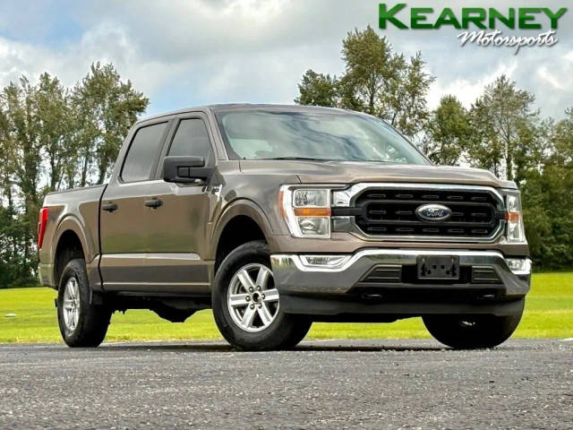2022 Ford F-150 XL 4WD photo