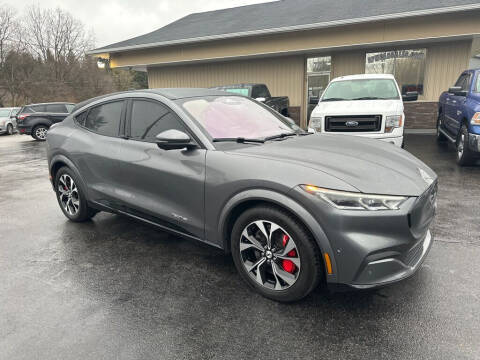 2021 Ford Mustang Mach-E Premium AWD photo