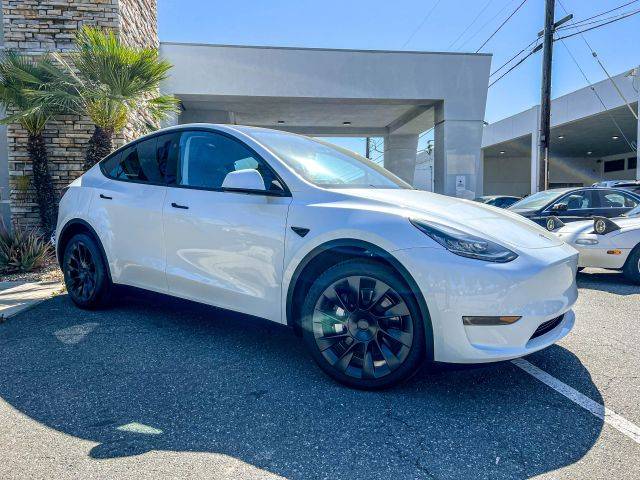 2023 Tesla Model Y  AWD photo