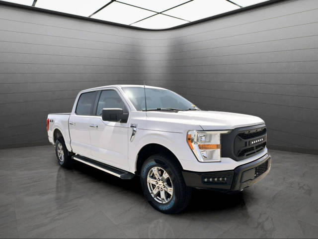 2021 Ford F-150 XL 4WD photo