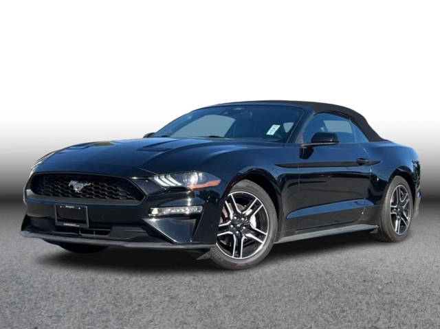 2021 Ford Mustang EcoBoost Premium RWD photo