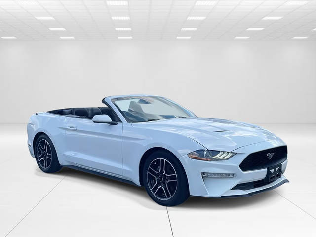 2021 Ford Mustang EcoBoost RWD photo