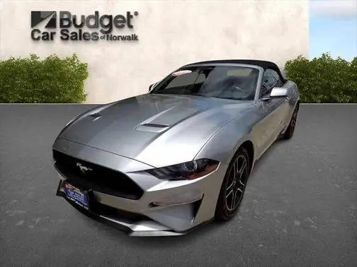 2023 Ford Mustang EcoBoost Premium RWD photo