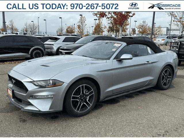 2022 Ford Mustang EcoBoost Premium RWD photo